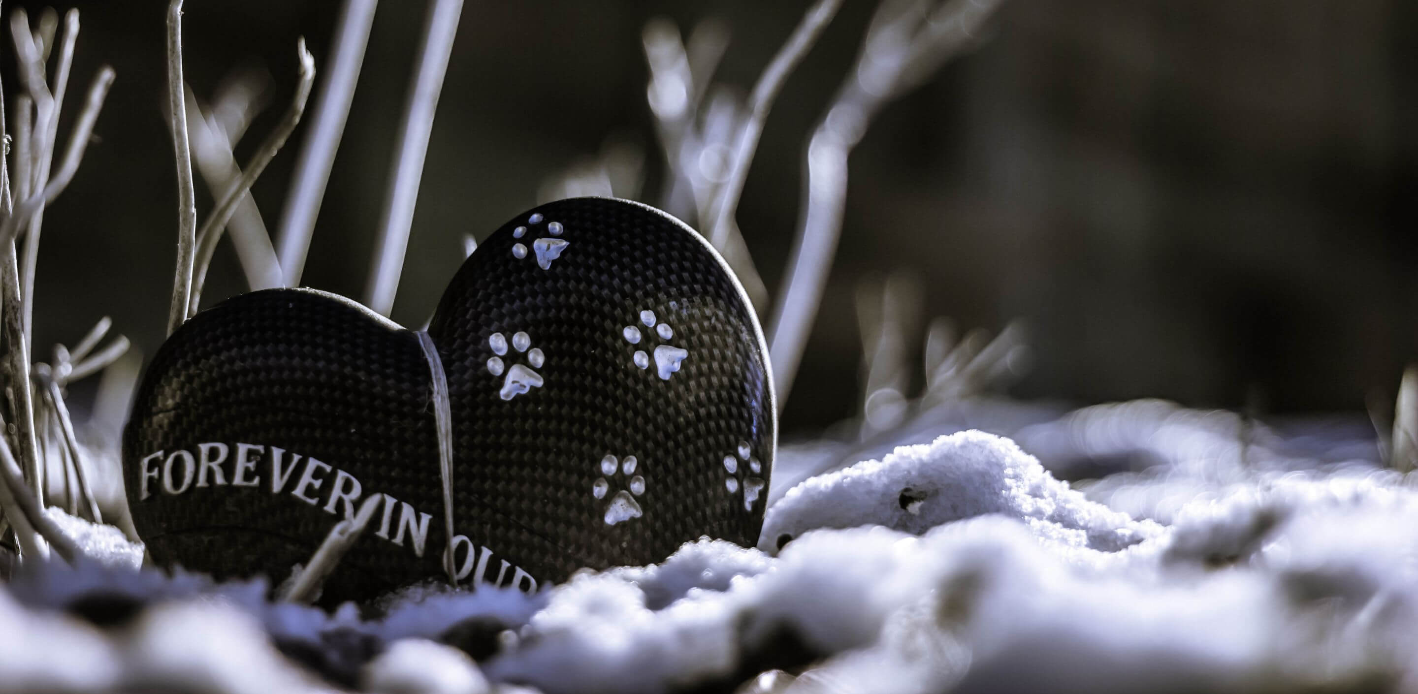 Pet Ashes Memorial