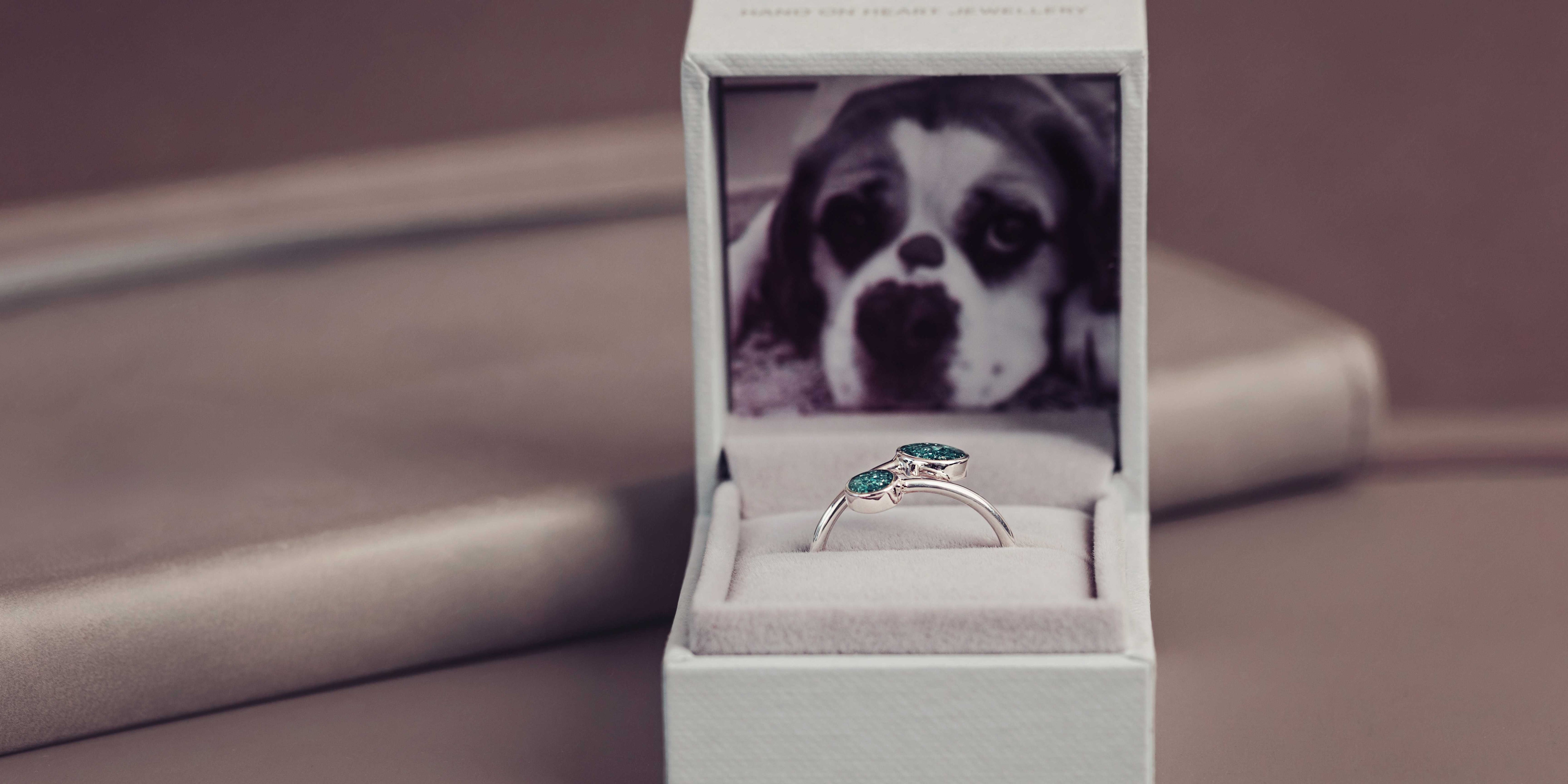 A Cremation Ashes Adjustable Ring in Blue, in a jewellery box with a photo of a dog.