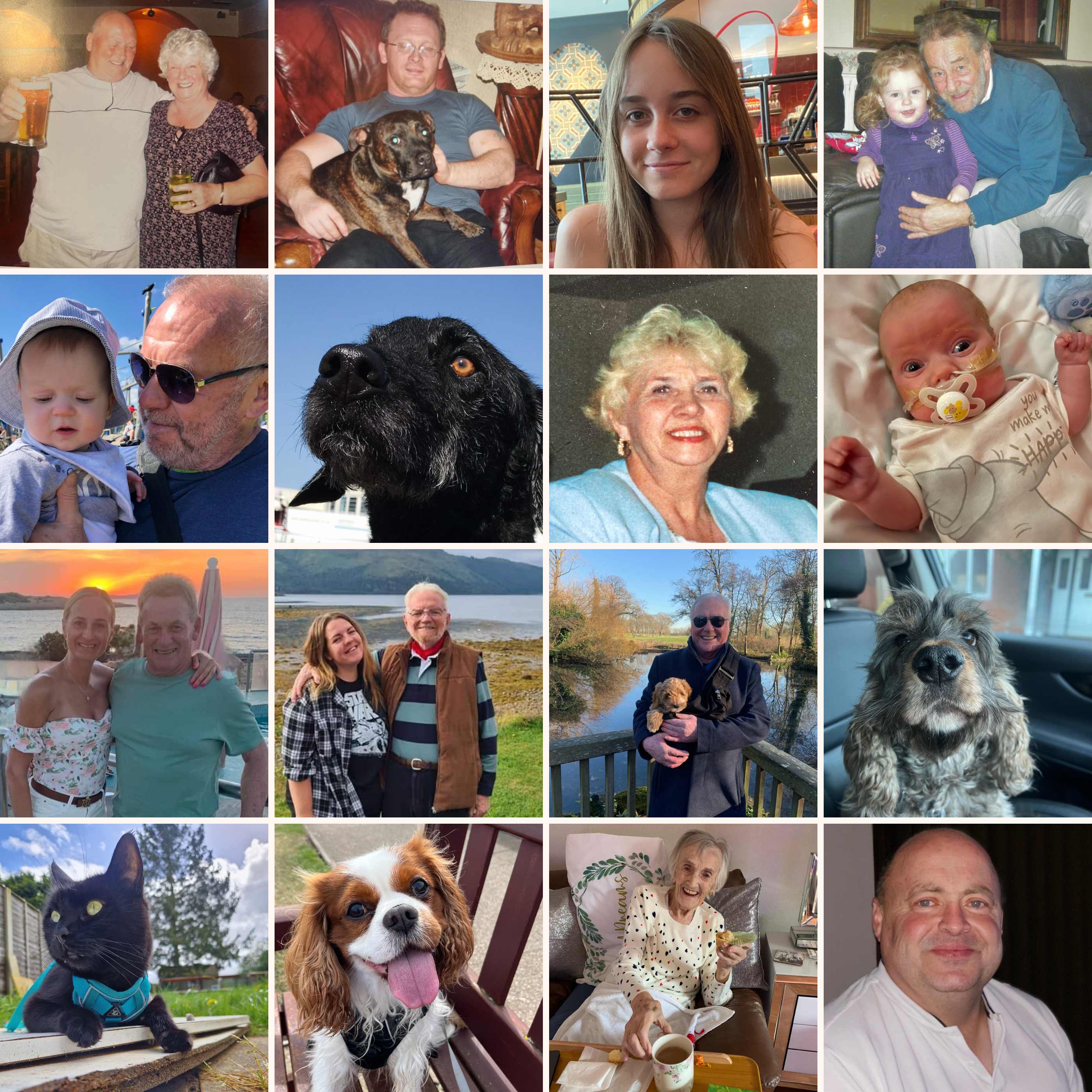 Collage of photographs featuring loved ones and beloved pets