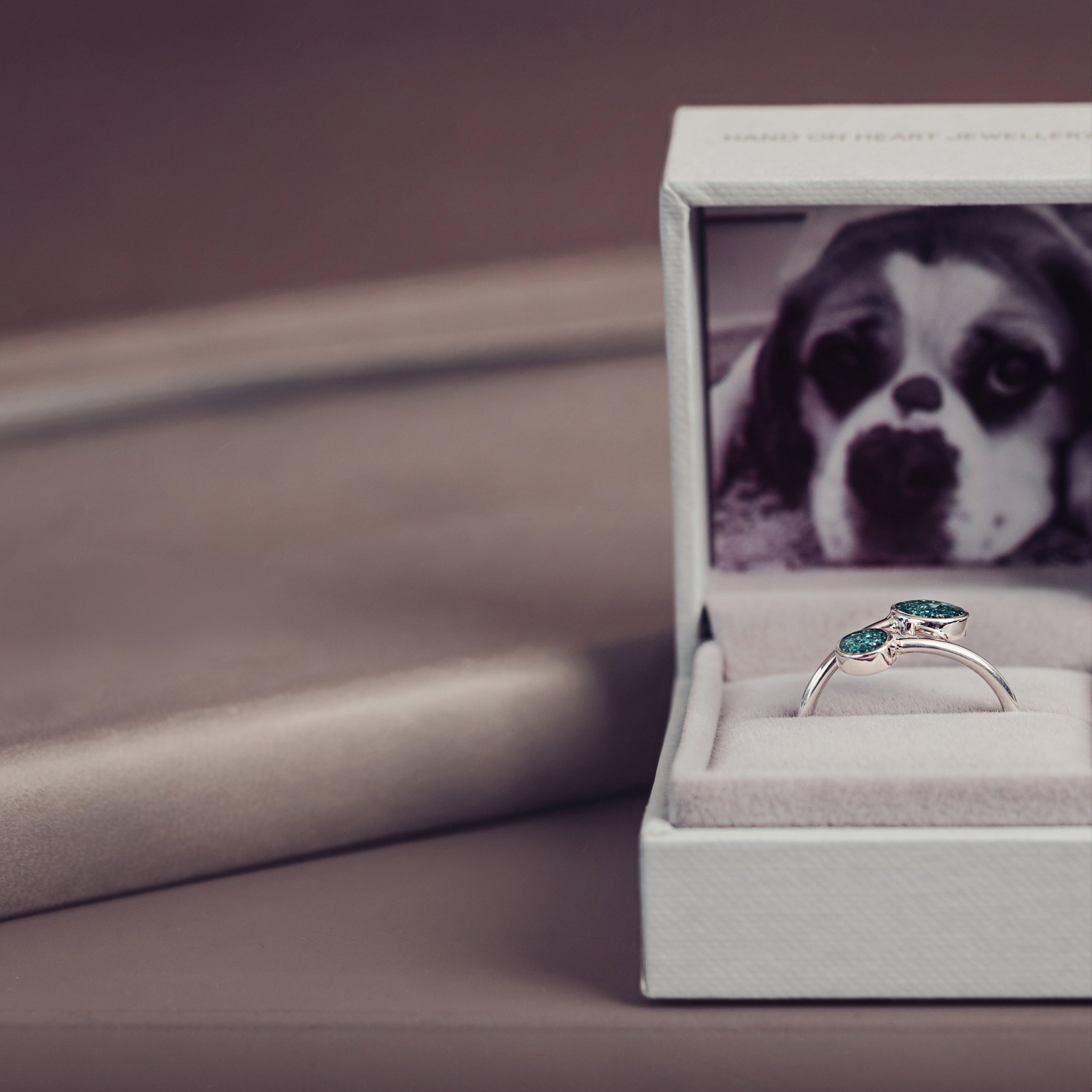 A silver cremation ashes adjustable ring in green elegantly displayed in a white jewellery box with a sentimental photograph of a dog placed inside