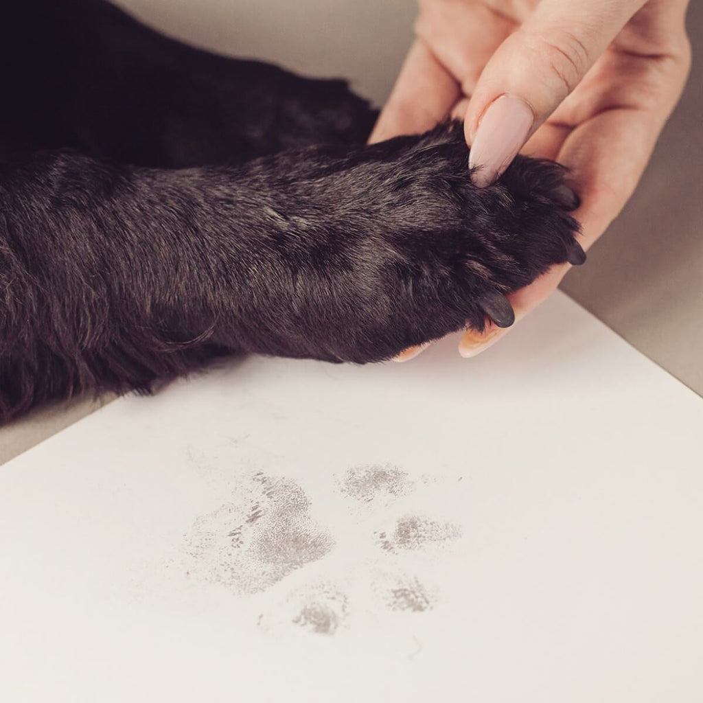 You Leave Paw Prints on My Heart - “No Mess” Ink-less Paw Print